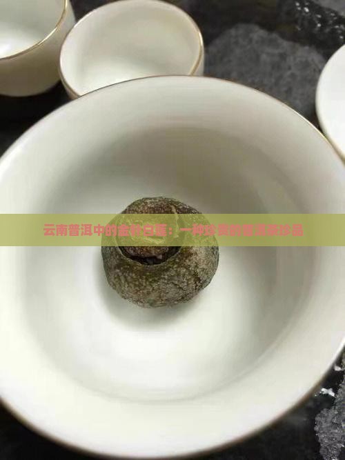 普洱茶中的金针