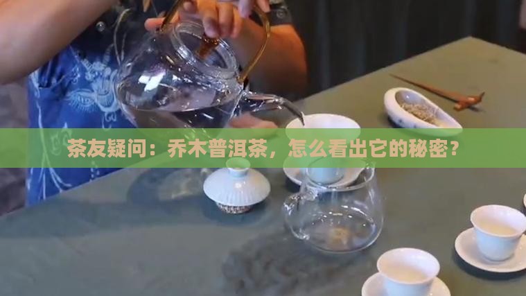 普洱茶里的乔木