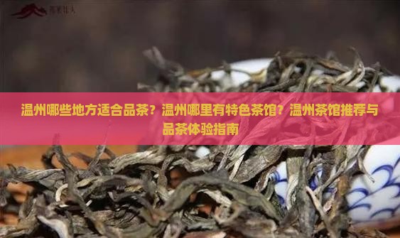 温州哪里有喝茶的地方