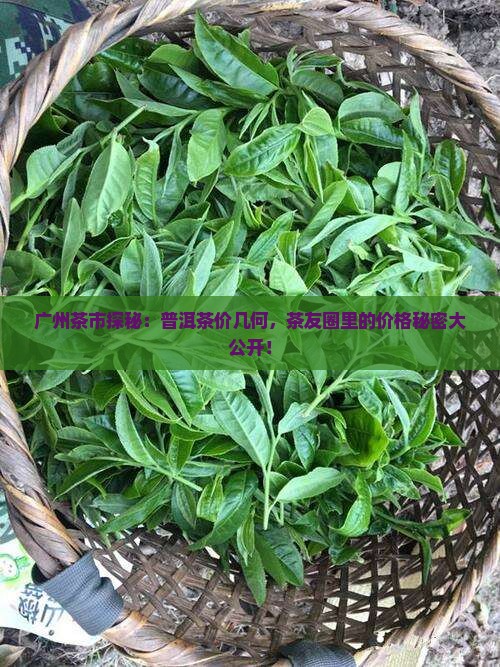 广州茶博会普洱茶价格表