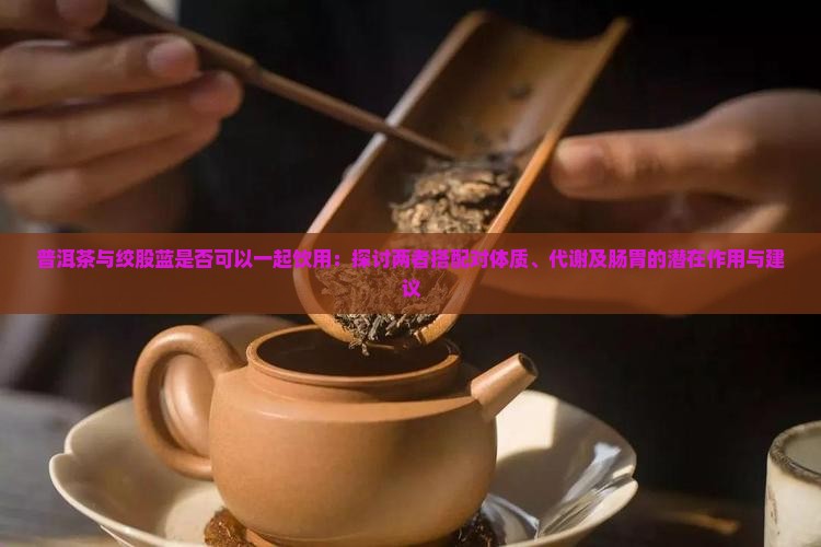 普洱茶和绞股蓝能一起喝吗