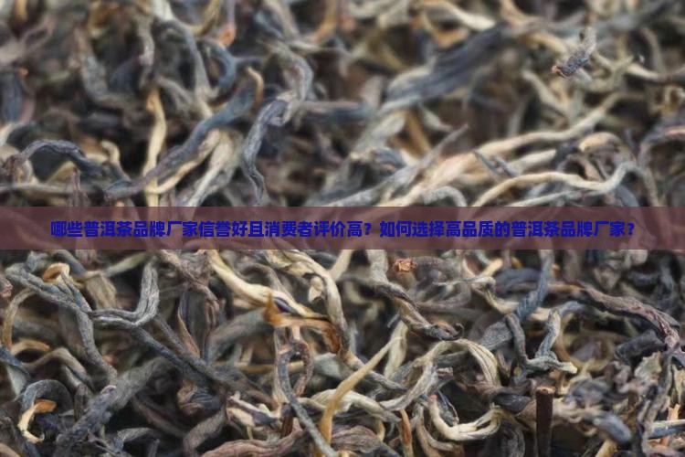 普洱茶品牌信誉好的厂家