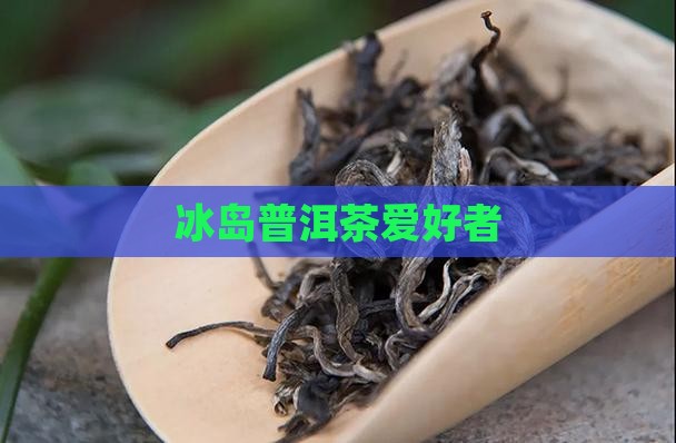 喜欢喝冰岛茶的人