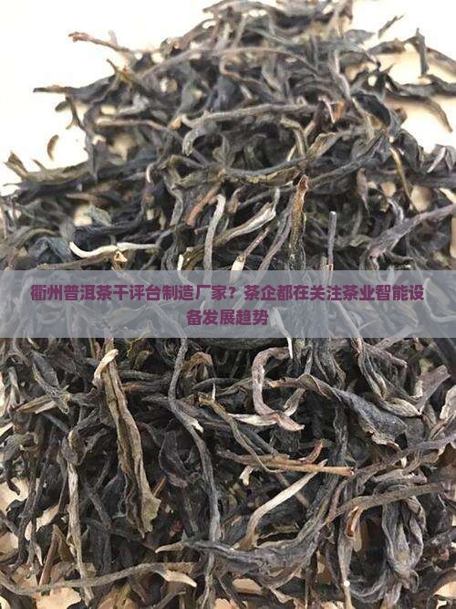 衢州普洱茶干评台制造厂家