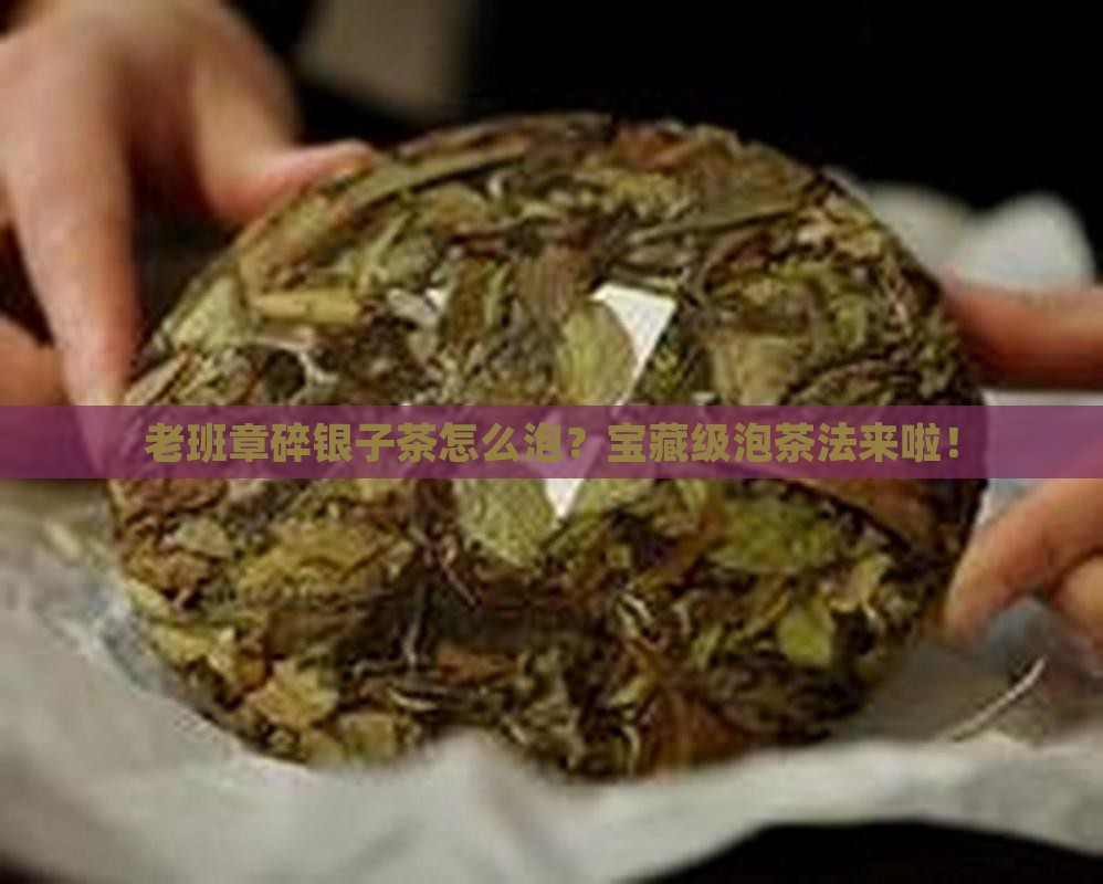 老班章碎银子荼泡法
