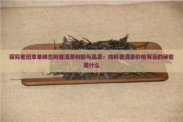 老班章单株是什么意思