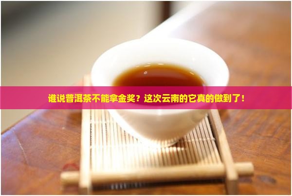 荣获云南省普洱茶首次金奖