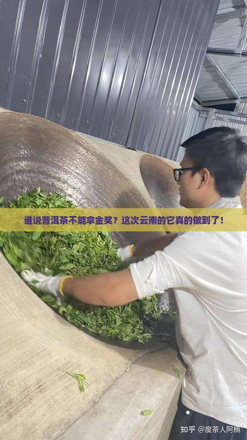 荣获云南省普洱茶首次金奖