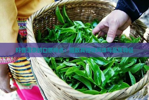 好普洱茶的口感特点