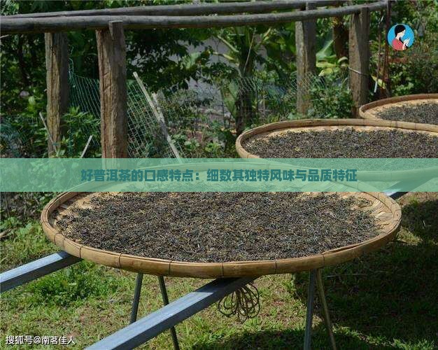 好普洱茶的口感特点