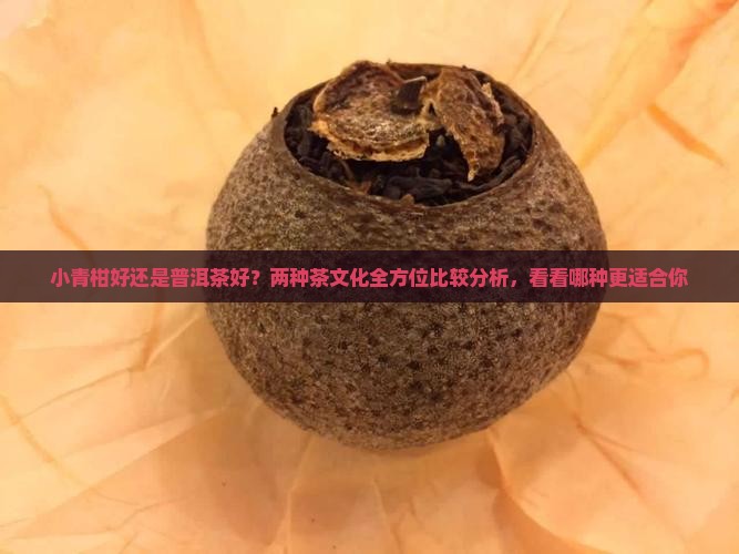 小青柑好还是普洱茶好