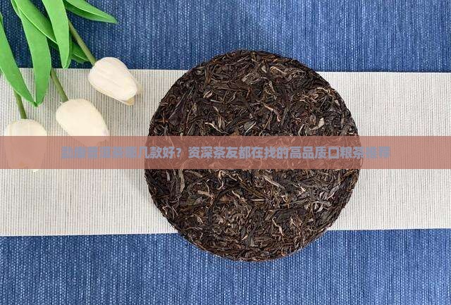 勐康普洱茶哪几款好
