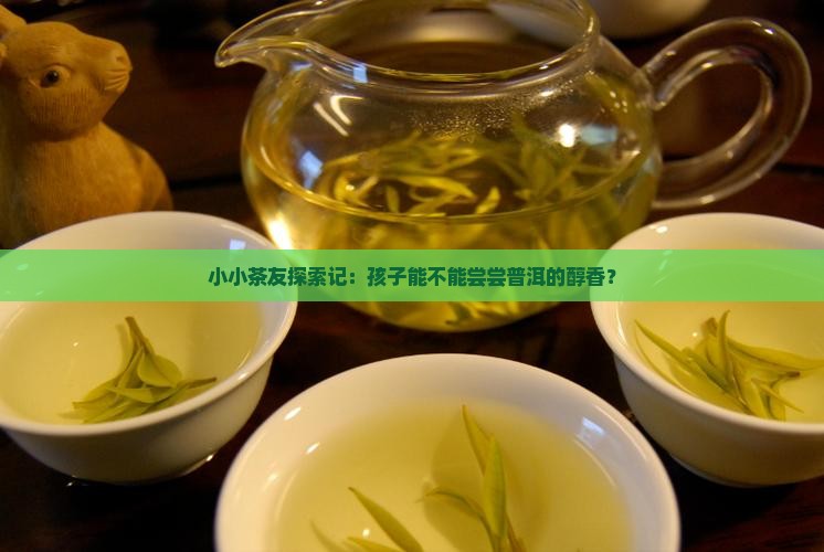 小孩能不能吃普洱茶