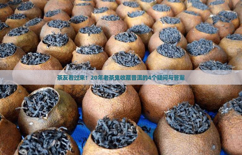哪种普洱茶合适购买藏家