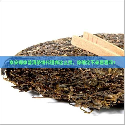泰安普洱茶饼代理商哪家好