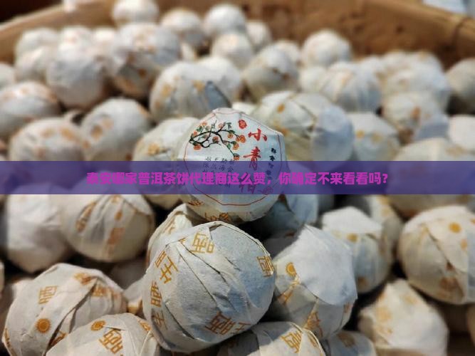 泰安普洱茶饼代理商哪家好