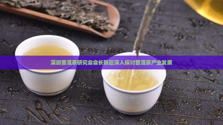 深圳普洱茶研究会会长陈巨