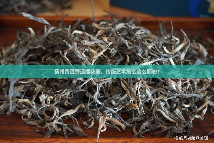 扬州普洱茶插花艺术