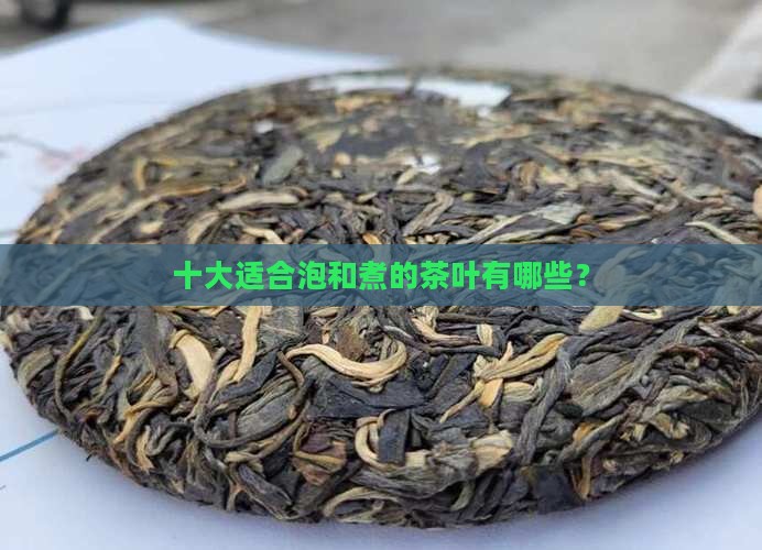 什么茶适合泡什么茶适合煮