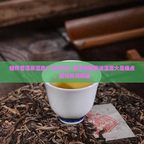 储存普洱茶湿度77可以吗