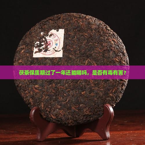 茯茶保质期过了一年还能喝吗