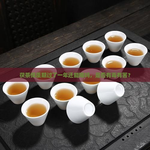 茯茶保质期过了一年还能喝吗
