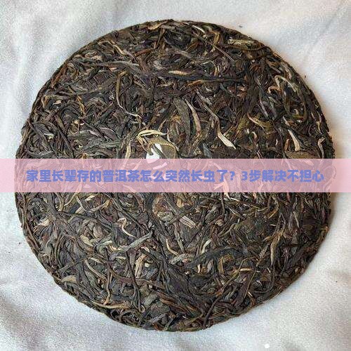 普洱茶如何储存才能不长虫 普洱茶如何储存才能不长虫