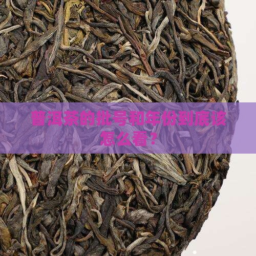 普洱茶批号年份怎么查看