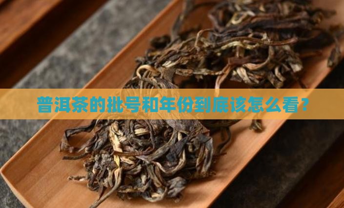 普洱茶批号年份怎么查看