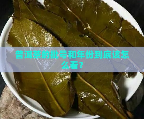 普洱茶批号年份怎么查看