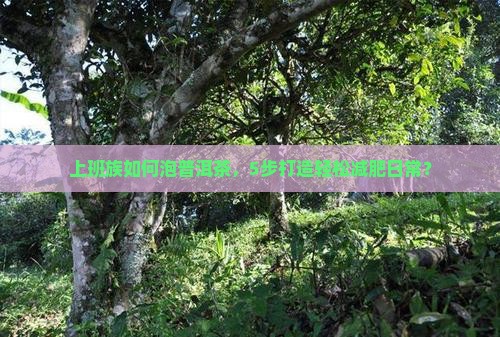 普洱茶怎样用才能减肥效果好