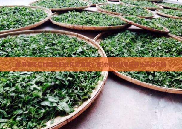 吃了海带可以喝普洱茶吗