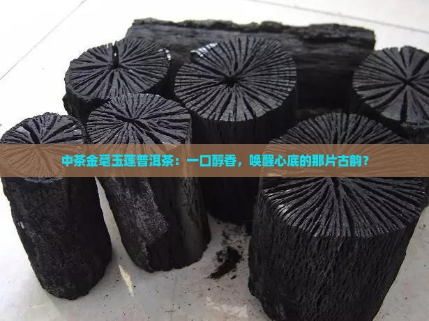 中茶金毫玉莲普洱茶