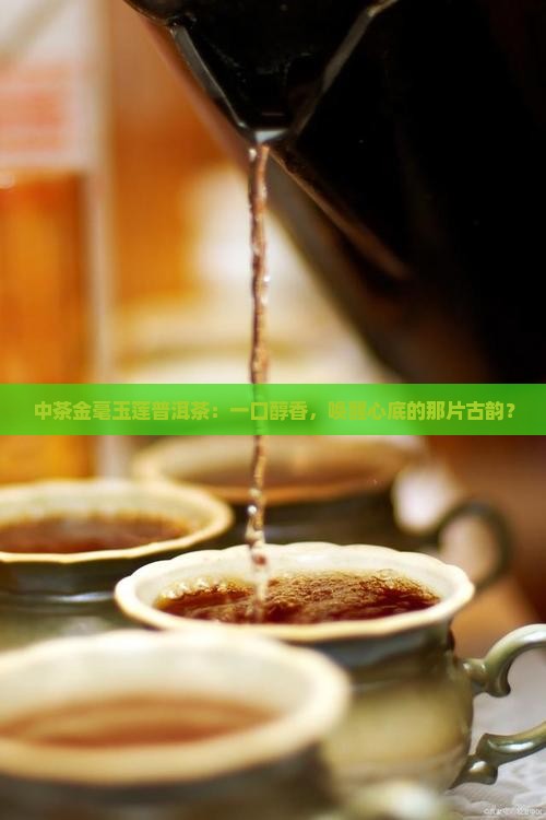 中茶金毫玉莲普洱茶