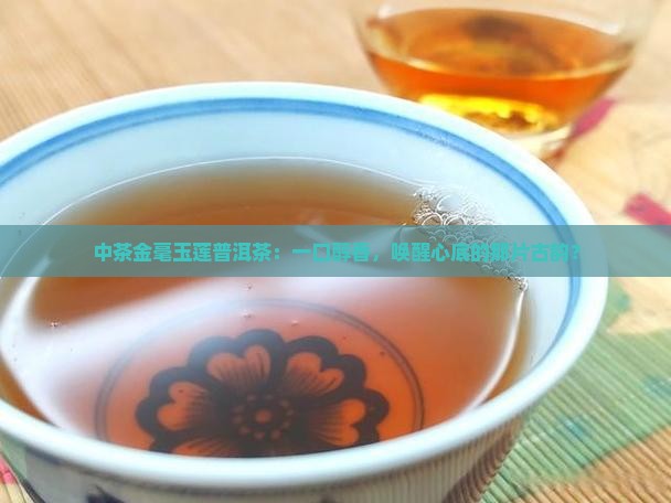 中茶金毫玉莲普洱茶