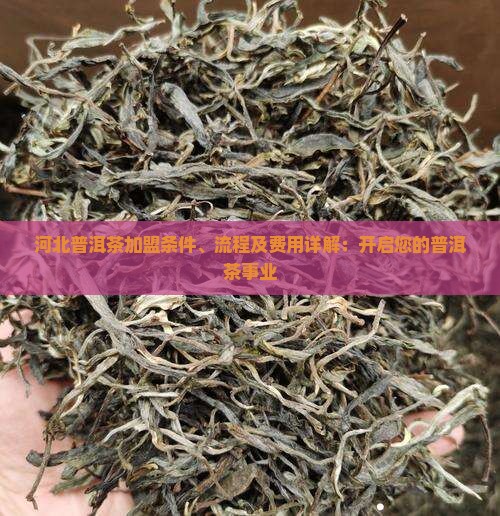 河北熟普洱茶怎么加盟
