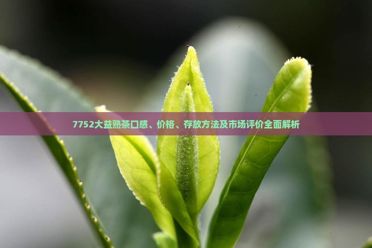 7752大益熟茶