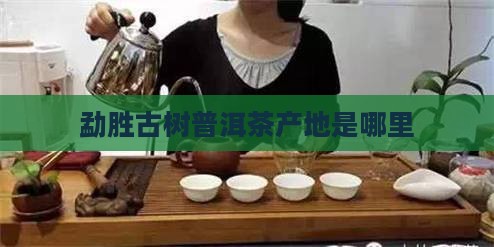 勐胜古树普洱茶产地
