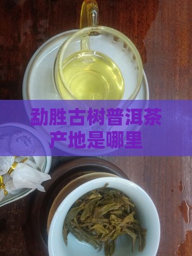 勐胜古树普洱茶产地