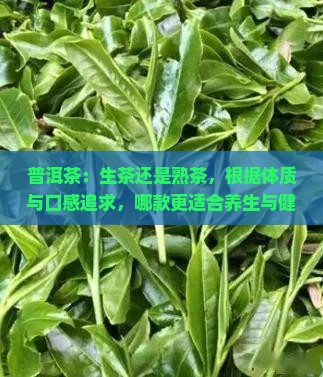 普洱茶喝生茶还是熟茶比较好