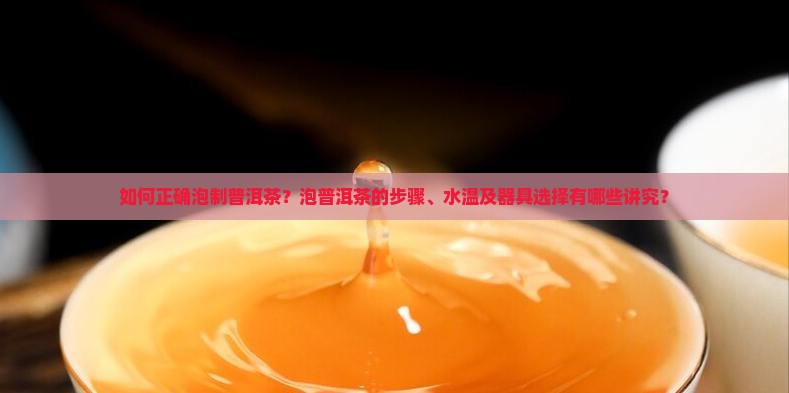 普洱茶如何泡才能喝