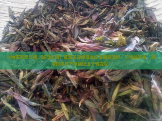 普洱茶能做日本绿茶吗