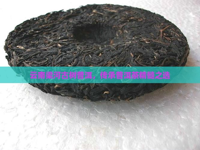 云南梁河古树普洱茶