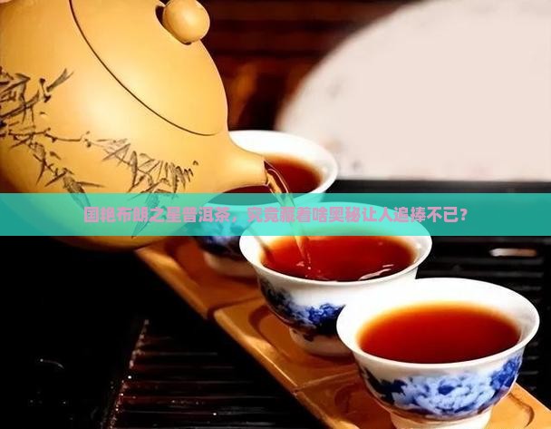 国艳布朗之星普洱茶咋样