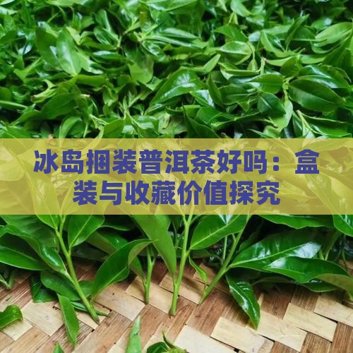 冰岛捆装普洱茶好吗