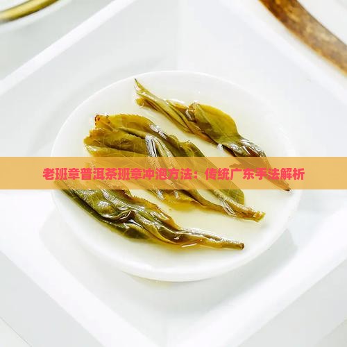 广东老班章泡茶手法
