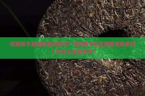 吃完柿子后能喝普洱茶吗