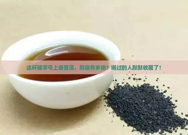 臻字号上善普洱茶