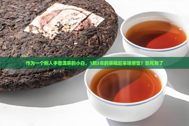 普洱茶年份1至3年