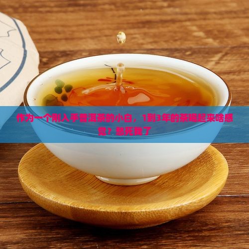 普洱茶年份1至3年